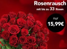 Blumeideal: 33 Rosen für 20,94 Euro frei Haus