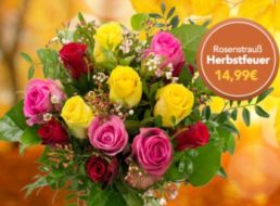 Blumeideal: Blumenstrauß "Herbstfeuer" für 19,98 Euro frei Haus