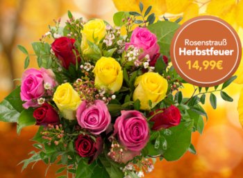 Blumeideal: Blumenstrauß "Herbstfeuer" für 19,98 Euro frei Haus