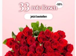 Blumeideal: 33 rote Rosen für unter 20 Euro frei Haus