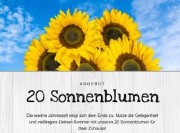 Blumeideal: 20 Sonnenblumen für 22,98 Euro frei Haus