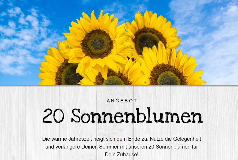 Blumeideal: 20 Sonnenblumen für 22,98 Euro frei Haus