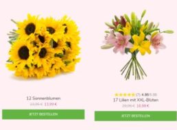 Blumeideal: Strauß aus zwölf Sonnenblumen für 18,94 Euro frei Haus