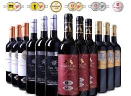 Exclusiv: 12er-Mixpaket goldprämierter Rotwein aus Spanien für 49,99 Euro