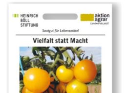 Wieder da: Gratis-Tomatensamen bei der Böll-Stiftung frei Haus bestellen