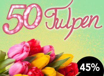 Blumeidal: 50 bunte Tulpen für 24,98 Euro samt Versand