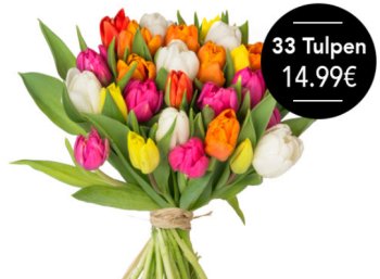 Blumeideal: 33 bunte Tulpen für 19,98 Euro frei Haus