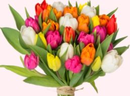 Tulpenstrauß: 38 Blumen für 20,94 Euro mit Versand bei "Blume Ideal"