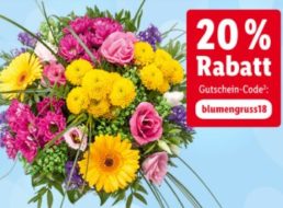 Valentinstag: 20 Prozent Rabatt und Gratis-Lieferung bei "Lidl Blumen"