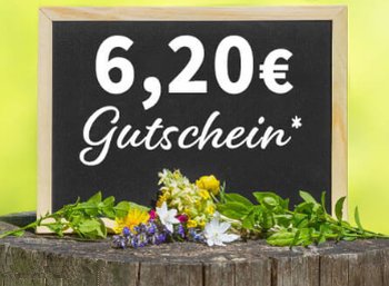 Völkner: 6,20 Euro Rabatt und Gratis-Versand