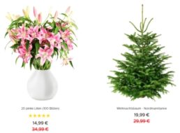 Blumeideal: Weihnachtsbaum für 19,99 Euro plus Versand